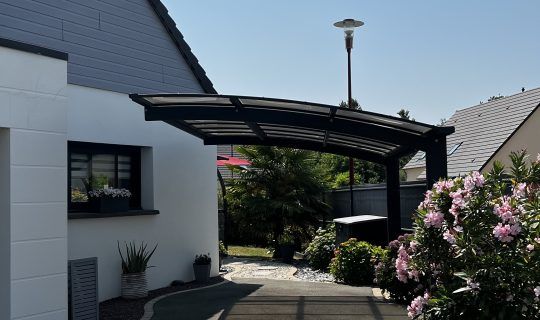 IMG_2459
